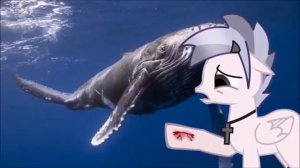 Пони Клип►Синий Кит