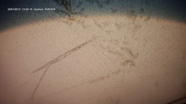 Ural Winter Endurance 4 этап смотреть онлайн