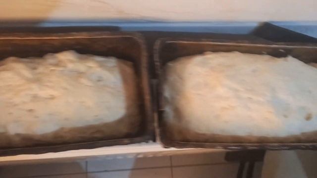 ПОДГОТОВКА К ВЫПЕЧКЕ ХЛЕБА В ДОМАШНИХ УСЛОВИЯХ !EVDE EKMEK PİŞİRMEK HIZLI VE EKONOMİKTİR! смотреть онлайн