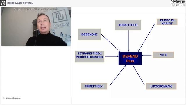 ВЕЗДЕСУЩИЕ ПЕПТИДЫ