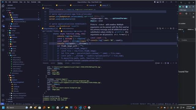 node express develop a blog management app 17 : single and multiple file upload, error handling смотреть онлайн