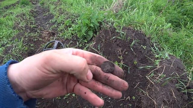 ОТ НАХОДКИ - ВОЛОСЫ ВСТАЛИ ДЫБОМ! ОТКУДА ЭТО ТАМ?