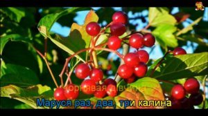 Розпрягайте, хлопці, коні - Українські Народні Пісні (Караоке)