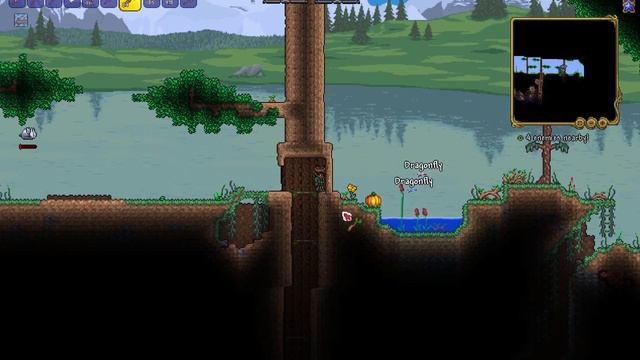 Perfect Start in Terraria 1.4 with Calamity & More, Death Mode! ⭐ Ep 1 смотреть онлайн