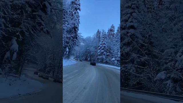 дорога в Домбай смотреть онлайн