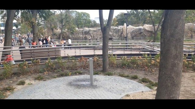 Харьковский зоопарк смотреть онлайн