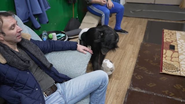 УДИВИТЕЛЬНАЯ РЕАКЦИЯ! ШИМПАНЗЕ встречает своего хозяина ПОСЛЕ ДЛИТЕЛЬНОГО РАССТАВАНИЯ смотреть онлайн