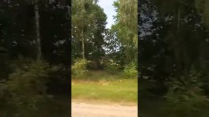 "Ой,калина" Александр Бардин( группа "САДко")