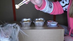 24 ЧАСА В КАРТОННОМ ДОМЕ МИЛЛИОНЕРА VS БЕДНЯКА