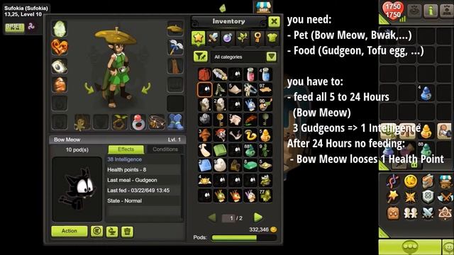 [Kamas Guide] - feeding Pets DOFUS TOUCH смотреть онлайн