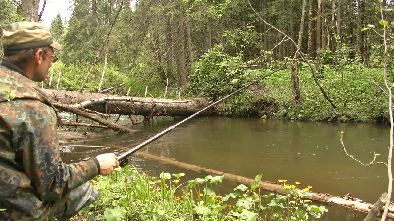 Рыбалка в царстве бурелома #286 смотреть онлайн