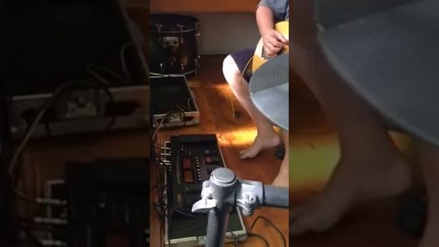 Brownsnake смотреть онлайн