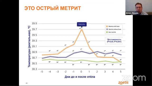 Послеотёльный период коров: вопросы и ответы смотреть онлайн