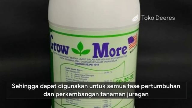 6 Pupuk Daun untuk Pemulihan Daun Keriting Tanaman Cabe смотреть онлайн