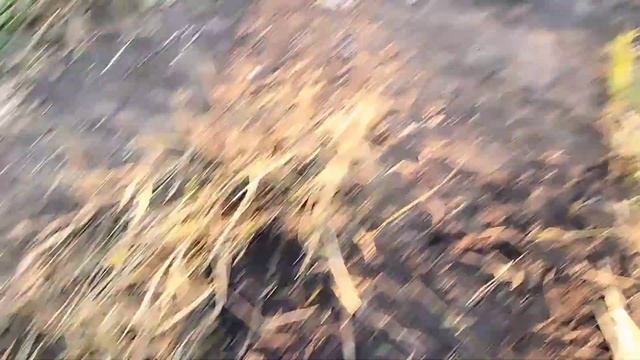 Расчистили площадку возле дома, а там старый фундамент ?? смотреть онлайн