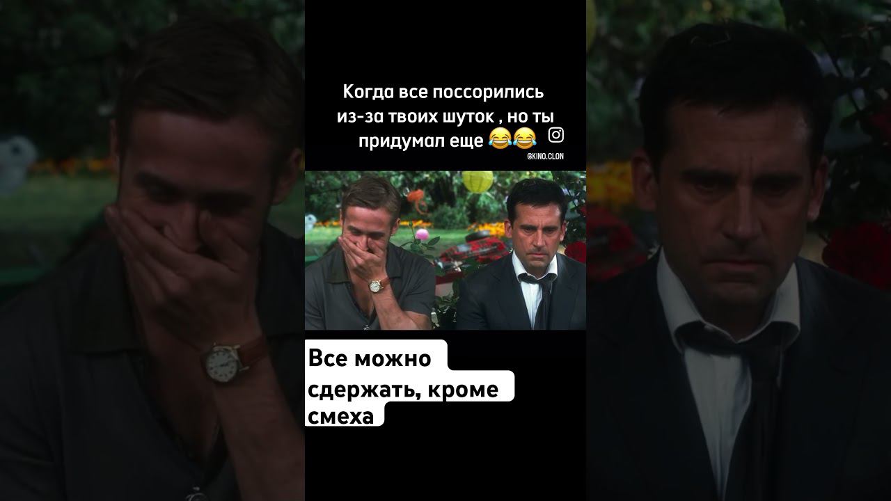 #юмор #котики