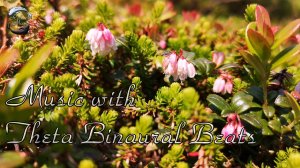 ? Музыка с тета волнами для исцеления и глубокой медитации