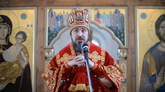 Слово митрополита Савватияв в Неделю 5-ю по Пасхе, о самаряныне смотреть онлайн