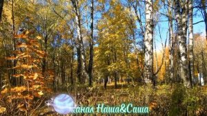 Задумчивая Осень