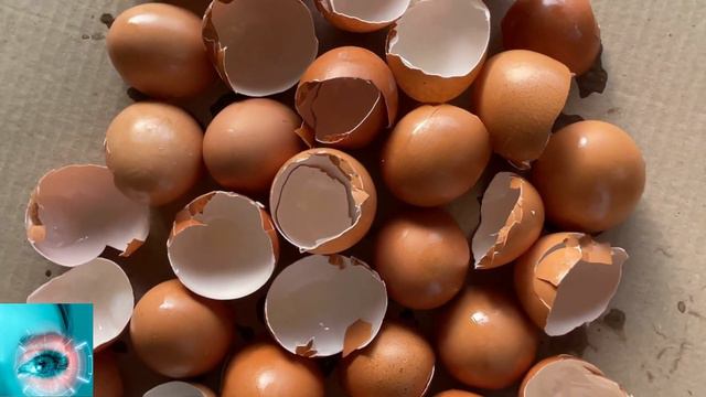 99% ЛЮДЕЙ ЭТОГО НЕ ЗНАЮТ!!!!А ЭТО РЕШАЕТ МНОГО СЕРЬЁЗНЫХ ПРОБЛЕМ!!! смотреть онлайн