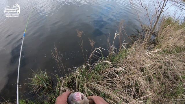 VLOG: Весна! Приморский канал., за два дня до запрета. Апрель 2020. смотреть онлайн