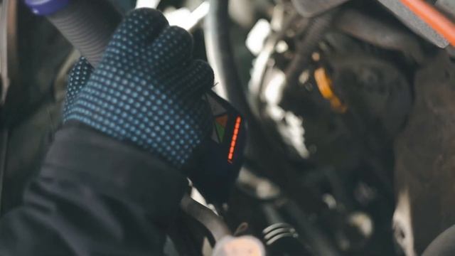 Домашний Художник