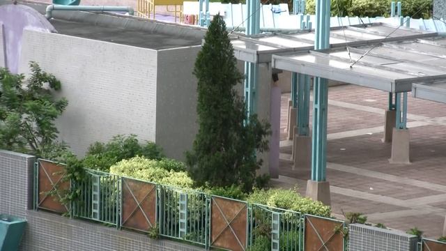 canon hv10 test смотреть онлайн