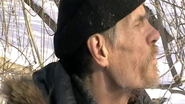 Собачьи свадьбы смотреть онлайн