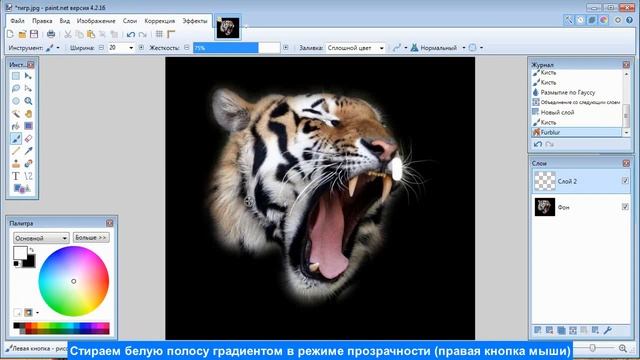 ВАРИАНТ ОФОРМЛЕНИЯ И КОРРЕКЦИИ ИЗОБРАЖЕНИЯ смотреть онлайн