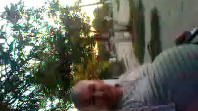 Скворец Ачуево смотреть онлайн