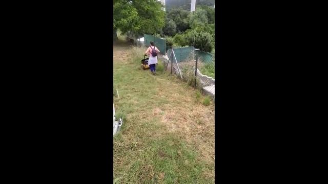 DESBROZADORA DE RUEDAS AUTOPROPULSADA - VIDEO DEMOSTRACIÓN TEXAS PRO TRIM 600TR