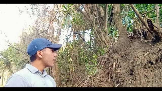 Video del proceso de un ECUT смотреть онлайн