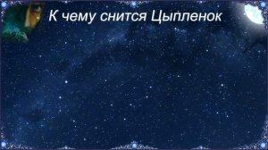 К чему снится Цыпленок (Сонник)