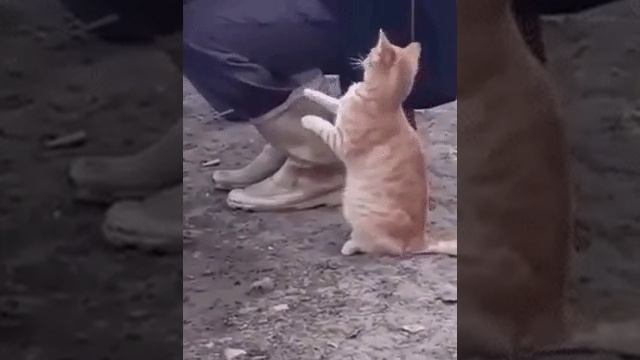 Молока дай! смотреть онлайн