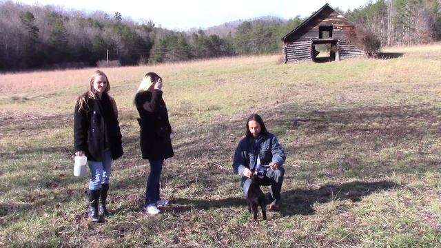 How to Potty Train a Goat and Teach it Fun Tricks смотреть онлайн