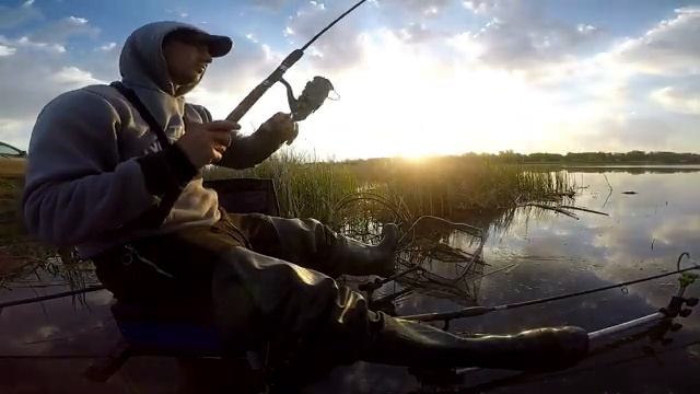 Наловил целый подсак карасей . Крупный карась . смотреть онлайн