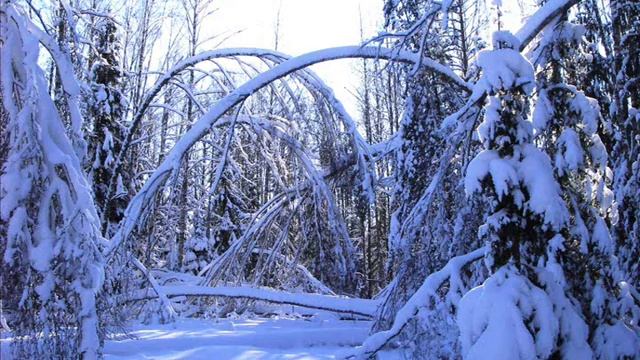 Заполицы 28.1.2012.wmv смотреть онлайн