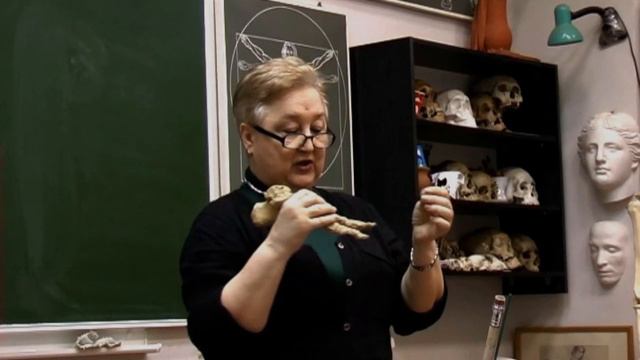 Нижние конечности