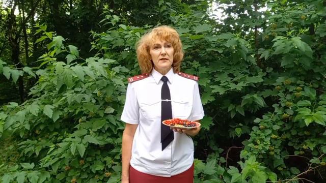 О выборе смородины смотреть онлайн