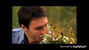 називин 2010 реклама