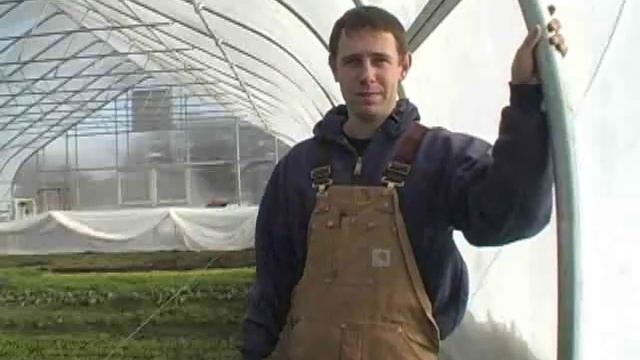 Hoophouse Production: Tips, Costs & Marketing смотреть онлайн