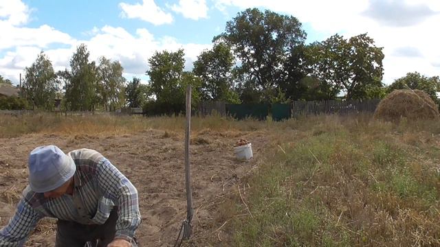 КОПАЕМ КАРТОШКУ СБОР УРОЖАЯ смотреть до конца АЛЕКСАНДР РАБОТАЕТ НА ОГОРОДЕ и ЛИДУШКА смотреть онлайн