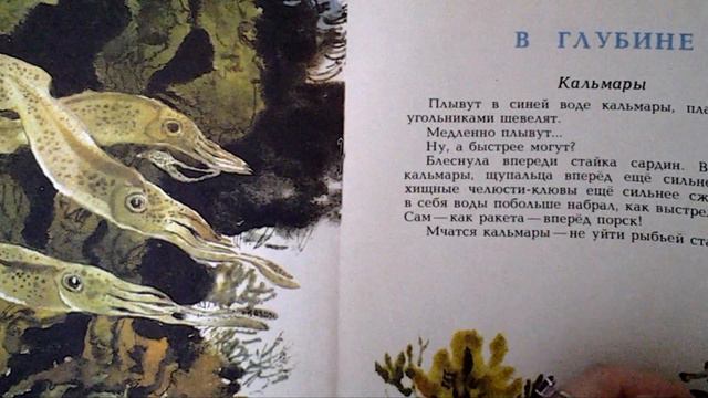 АСМР Листаем детские книги XIII смотреть онлайн