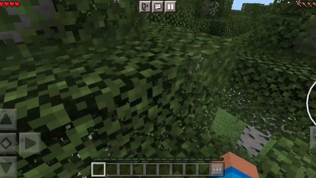 это шок березовый лес смотреть онлайн