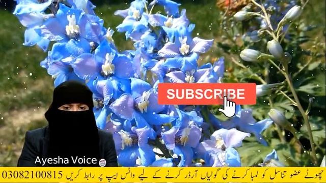 After Teen 3 Talaaq Why Halala is Required | Ayesha Voice смотреть онлайн