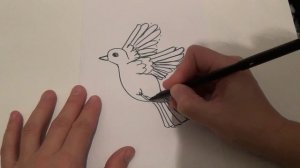 Как нарисовать птичку воробья. Уроки рисования для детей.