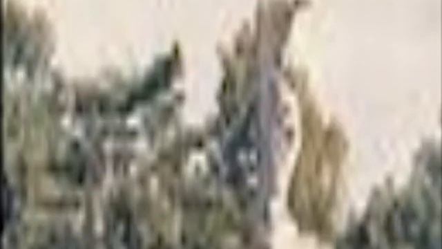 FLETCHER MOLEY GROUP "Beethoven Mandolin Sonatina" смотреть онлайн