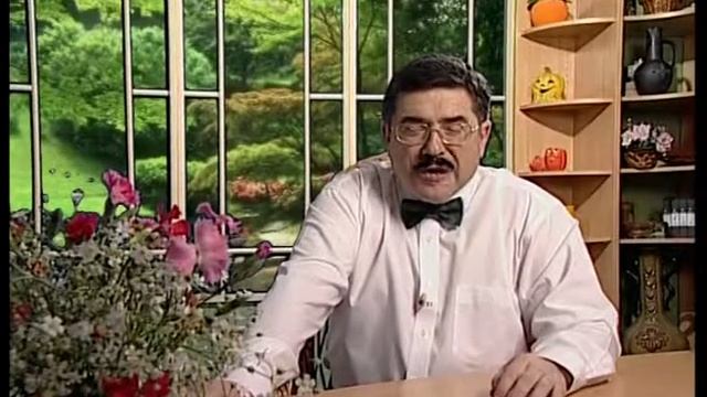 Дограмач. Ананасные кабачки. А! смотреть онлайн