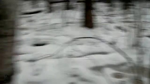 К центру зимнего болота (янв.,фев.,2014) смотреть онлайн