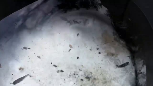 Почему дерутся французские бульдоги смотреть онлайн